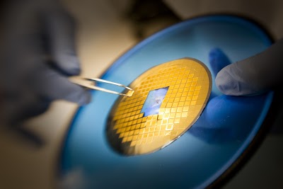 Gold microarray biochip
